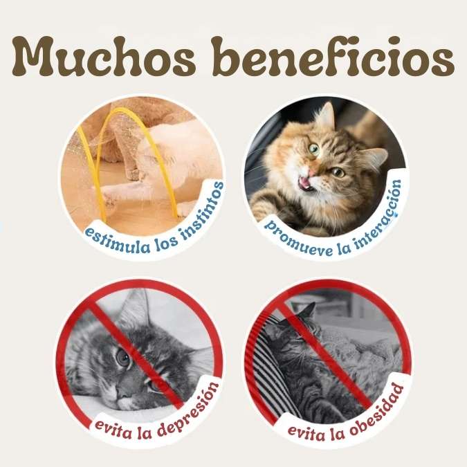 CatSpiral - Juguete Interactivo para Gatos