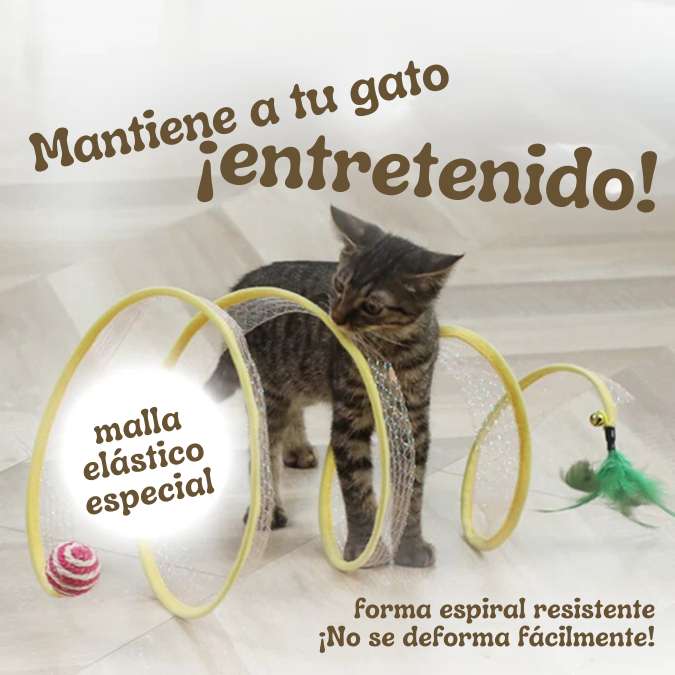 Catunnel Pro Túnel plegable interactivo