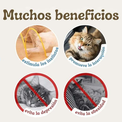 CatSpiral - Juguete Interactivo para Gatos